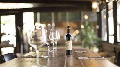 יקב גבעות. | תיירות בנימין