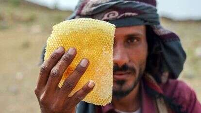 הדבורים נעלמות מתימן. | AFP