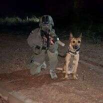 הכלב זילי. | דוברות המשטרה