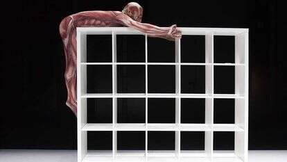 פתרונות נוחים לחיים מאושרים. פסטיבל ישראל. | Erwan Fichou