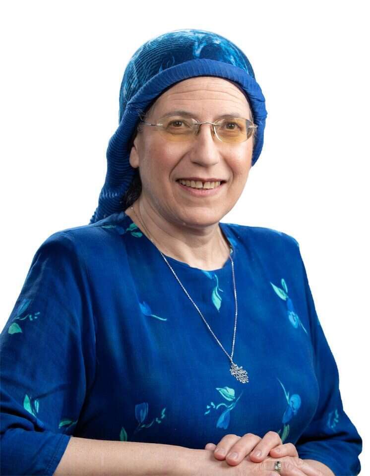 אורית סטרוק. | ברוך גרינברג