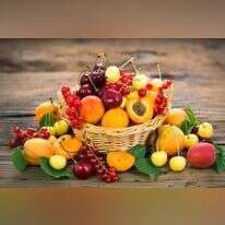 צילומים: שאטרסטוק צילומים: שאטרסטוק