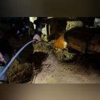 הטיפול במנהרה. | דובר צה"ל הטיפול במנהרה. | דובר צה"ל