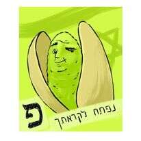 איור: מורן ברק