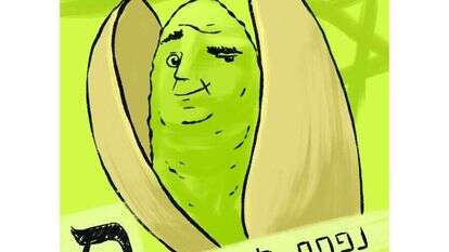 איור: מורן ברק איור: מורן ברק