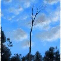 איור: מנחם הלברשטט