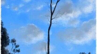 איור: מנחם הלברשטט