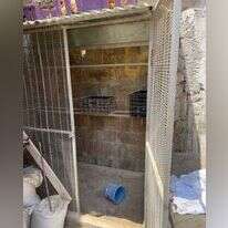 הכלוב שבו נכלא דר הרחוב. | דוברות המשטרה