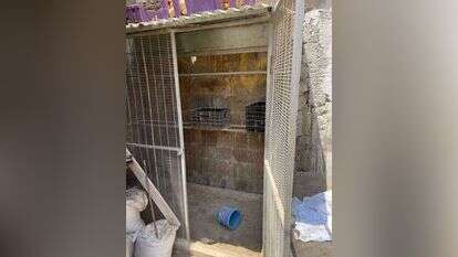 הכלוב שבו נכלא דר הרחוב. | דוברות המשטרה