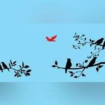 איור: שאטרסטוק