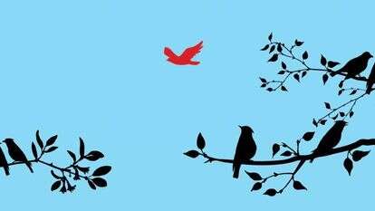 איור: שאטרסטוק