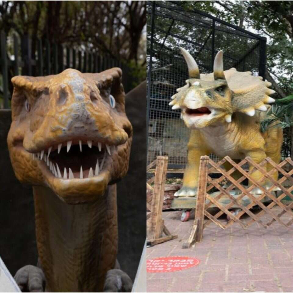 מדינת הילדים בקניון שער הצפון. | חוגגים הפקות