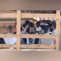 עמדת הבידוק ליהודים בכניסה להר הבית, החודש. | אי.פי.איי