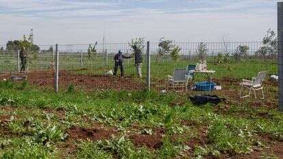 אחד ממתחמי הזולות ליד כפר־תבור. | אייל מרגולין, ג'יני