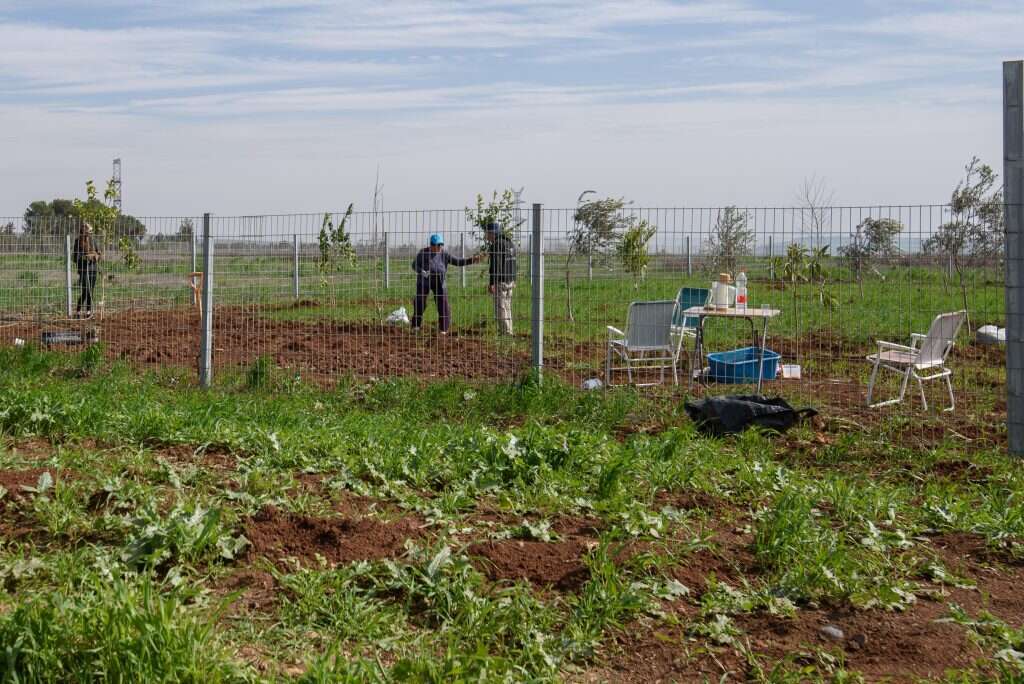 אחד ממתחמי הזולות ליד כפר־תבור. | אייל מרגולין, ג'יני