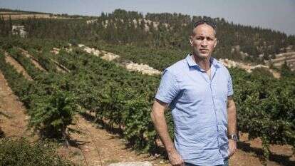 אמיתי פורת. קרדיט: הדס פרוש/פלאש90 אמיתי פורת. קרדיט: הדס פרוש/פלאש90