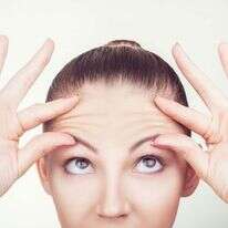 שאטרסטוק שאטרסטוק