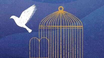 איור: הודיה מוסרי-גלבר