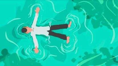 איור: אבימי