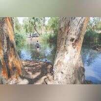 מטיילים בגולן, אתמול. | מיכאל גלעדי, פלאש 90