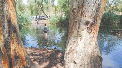 מטיילים בגולן, אתמול. | מיכאל גלעדי, פלאש 90