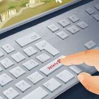 איור: נעמה להב איור: נעמה להב