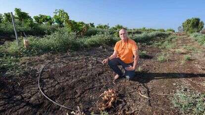 עליית מדרגה בשנתיים האחרונות. דאסה והשטחים החרוכים. | אייל מרגולין, ג'יני