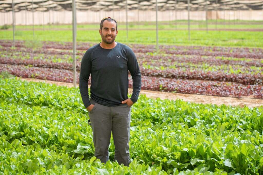 תורנויות שמירה וחמ"ל שבת במולדובה. דמארי בחממה. | שריה דיאמנט