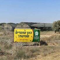 שדה בשנת שמיטה. | אופיר דוד