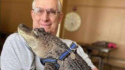 "אני תמיד מבקש רשות לפני שאני לוקח אותו לכל מקום. זה חשוב מאוד עם אליגטורים". וולי בזרועותיו של הני. | באדיבות ג'וי הני