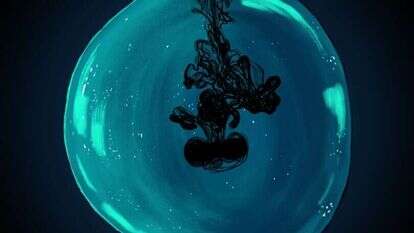 איור: שרון ארדיטי