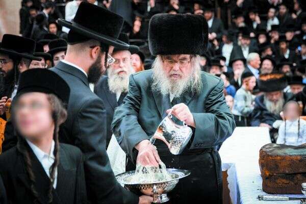 האדמו"ר מבעלז. | נועם ריבקין פנטון, פלאש 90