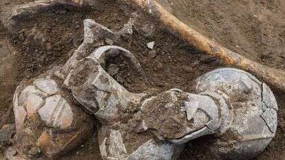 פכיות ופכים ממשפחת בסיס הטבעת שהונחו על גופת המת. בבדיקות נמצאו שרידי אופיום בכלים אלה. | אסף פרץ, רשות העתיקות