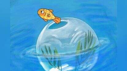 איור: נועה קלנר