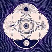 איור: שרון ארדיטי