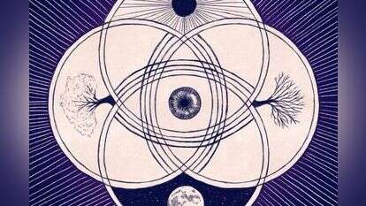 איור: שרון ארדיטי