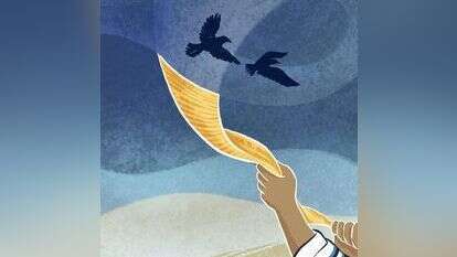 איור: הודיה מוסרי–גילבר