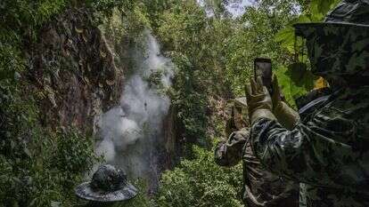 קוני דבש מצטרפים לרודי הדבש וצופים מרחוק בכוורות. | קווין פרייר, גטי אימג'ס קוני דבש מצטרפים לרודי הדבש וצופים מרחוק בכוורות. | קווין פרייר, גטי אימג'ס