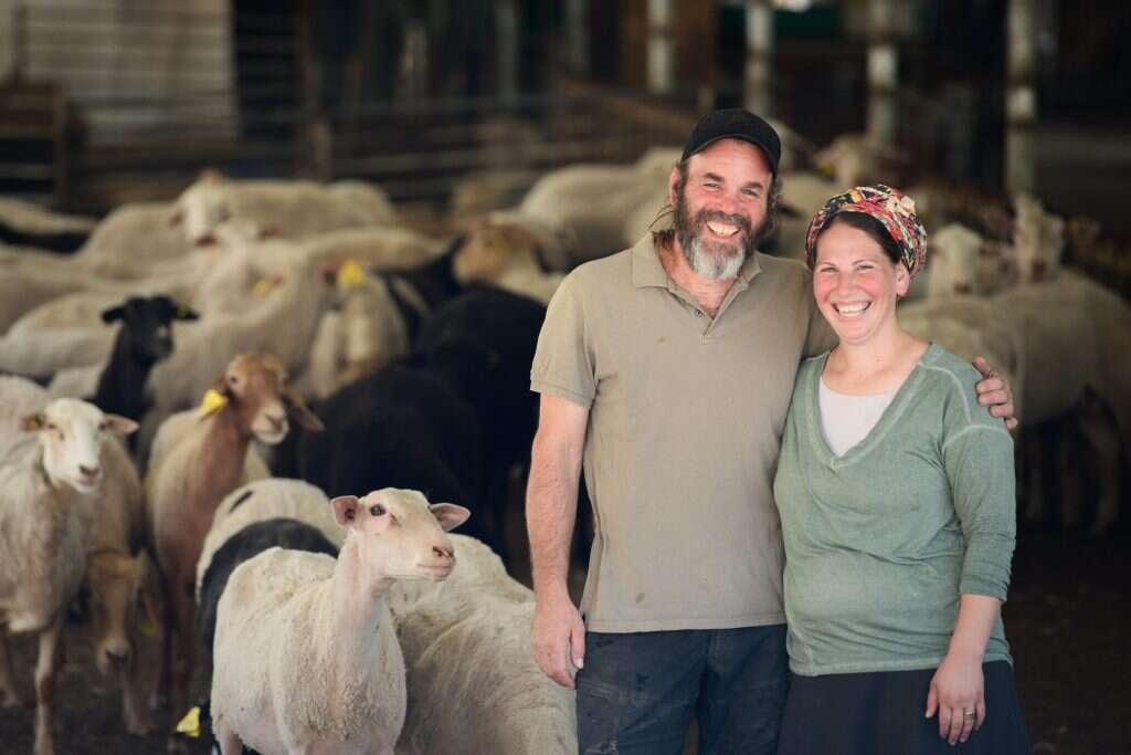 שריה דיאמנט