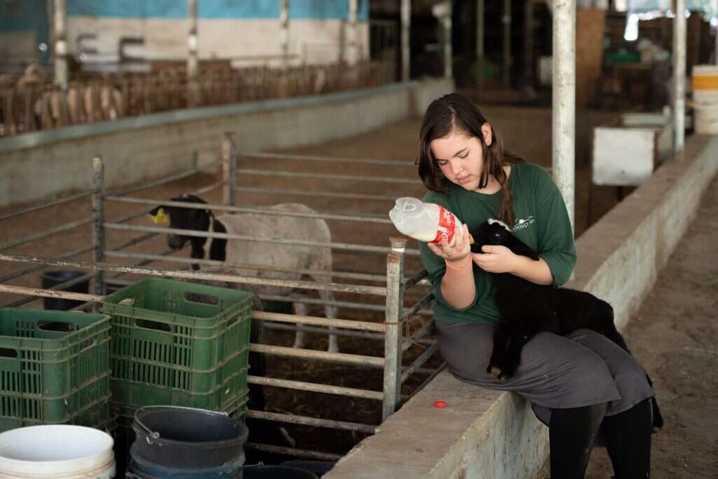 שריה דיאמנט