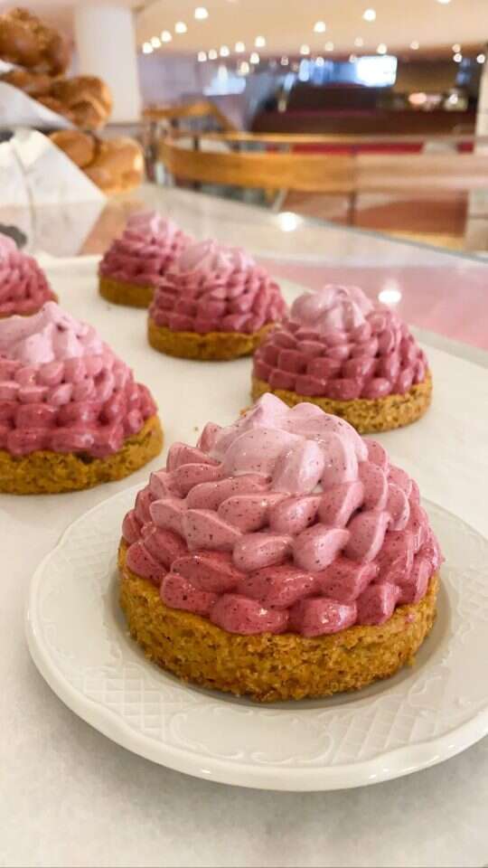 טלביה. קרדיט: תמר פרנק