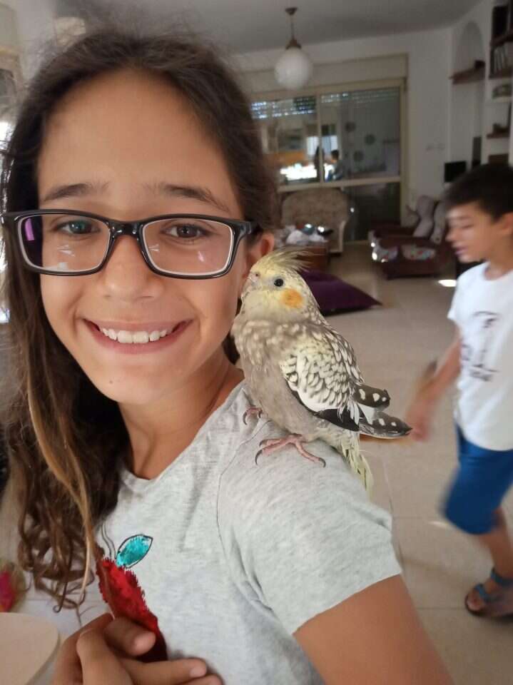 באדיבות המשפחה