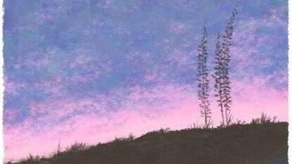 איור: מנחם הלברשטט