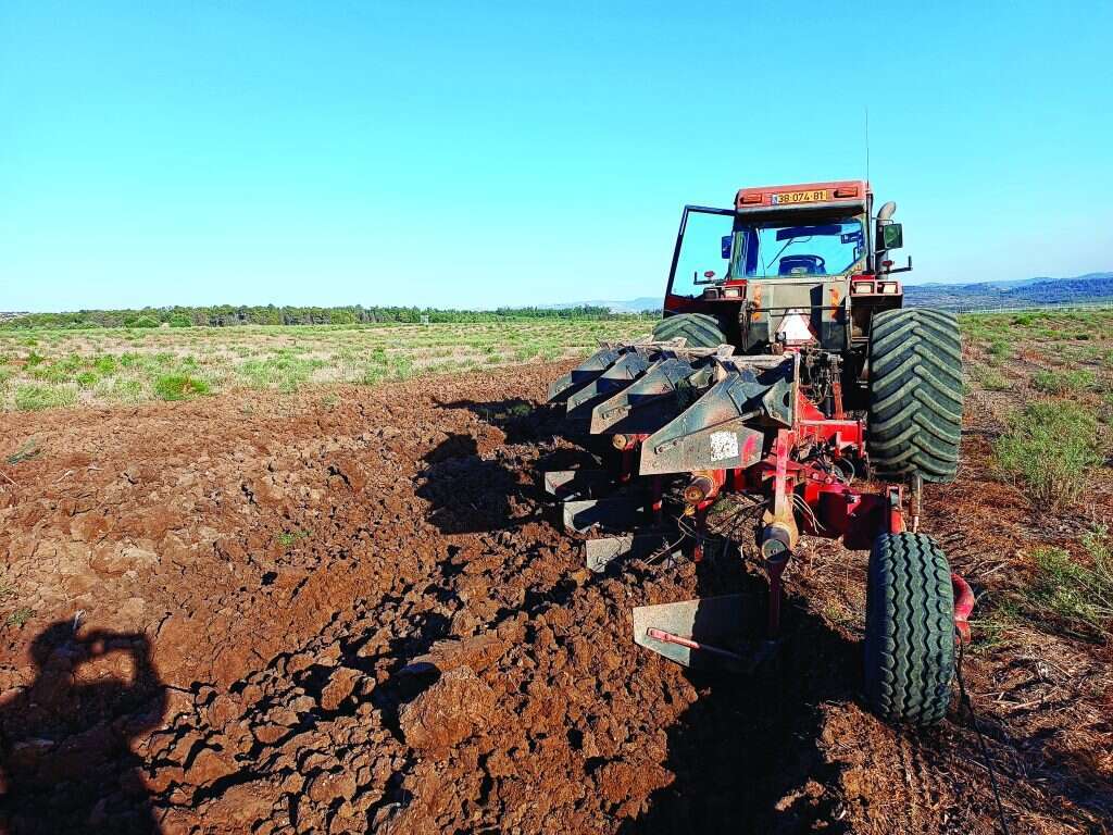 חריש בשעלבים (למטה מימין). | יהונתן הראל