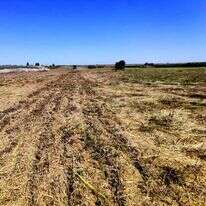 שדה בבני רא"ם