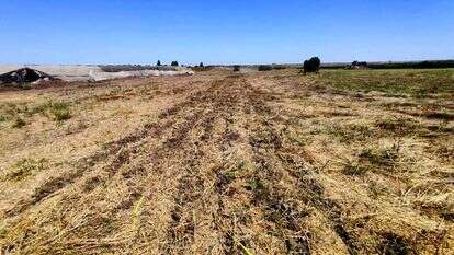 שדה בבני רא"ם