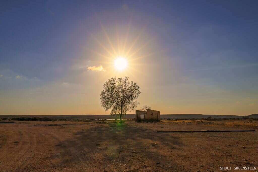 דרמה בקרחת יער. חסידת מרבו מול נחש קוברה. | ד"ר שולי גרינשטיין