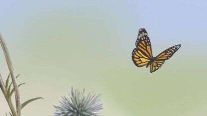 איור: הודיה מוסרי–גילבר