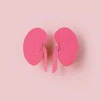 איור: שאטרסטוק