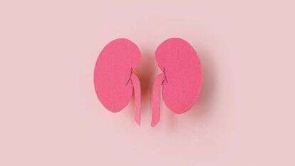 איור: שאטרסטוק